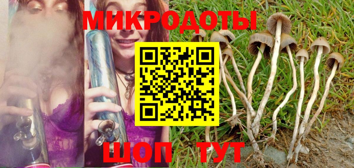 Галлюциногенные грибы Psilocybine cubensis  Вход с VPN  Краснодар 