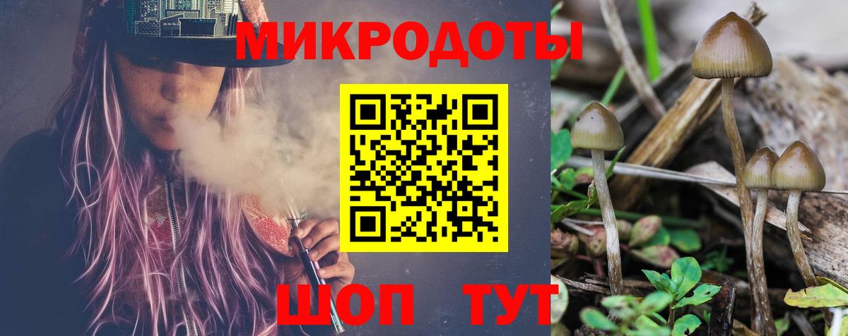 Псилоцибиновые грибы GOLDEN TEACHER Краснодар